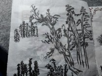 个人活动